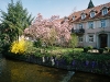 gutleuthaus2
